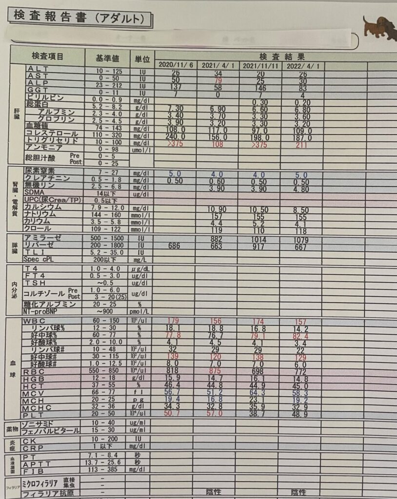 犬の健康診断結果