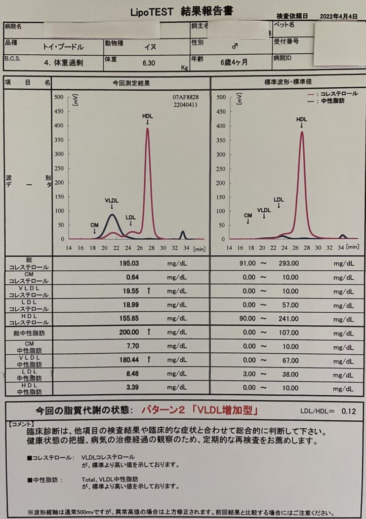 血液検査結果