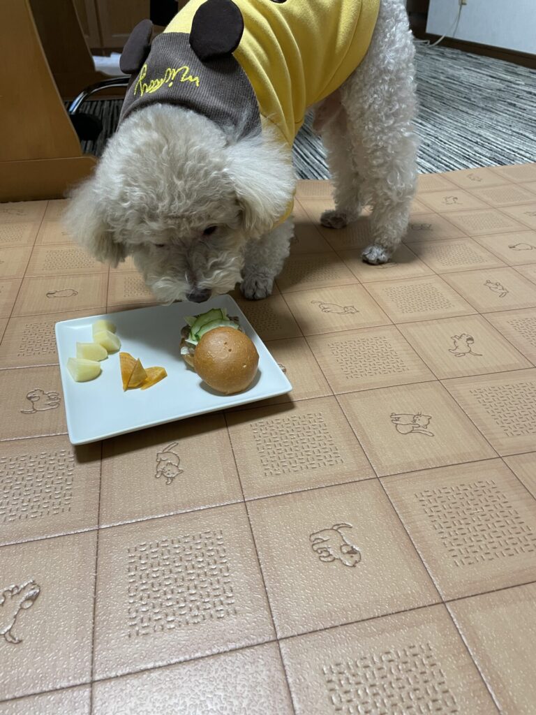 犬の好きな食べ物