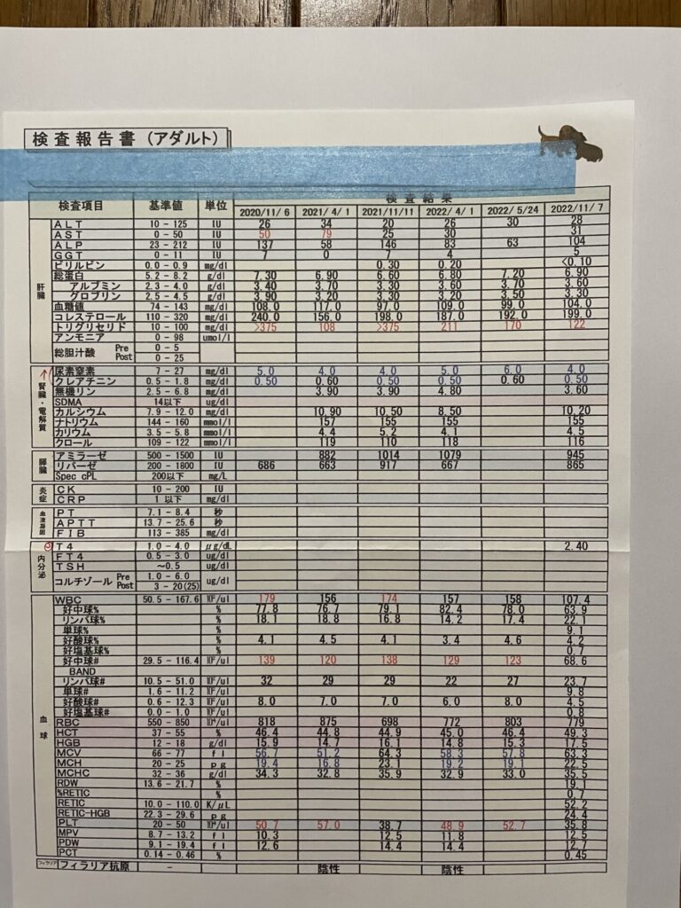 血液検査結果