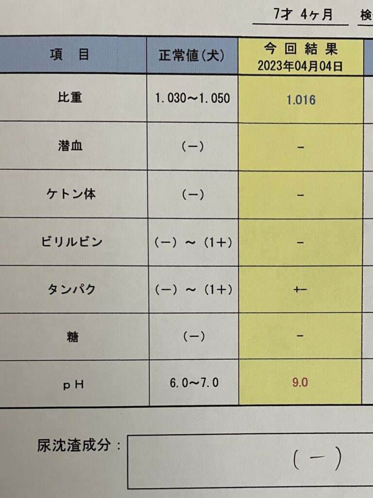 犬の健康診断２