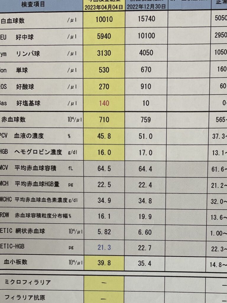 犬の健康診断３