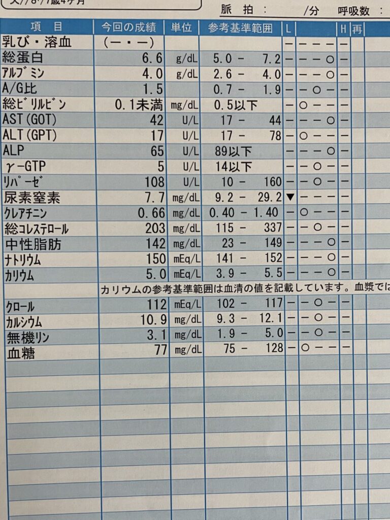 犬の健康診断４