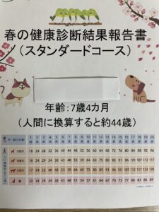 犬の健康診断１－１