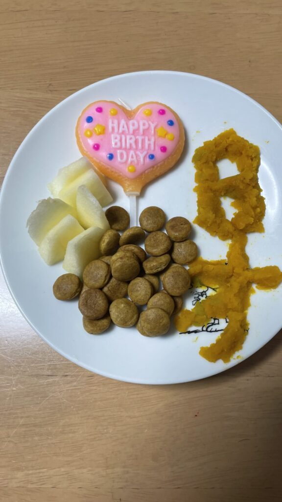 犬の誕生日のご飯