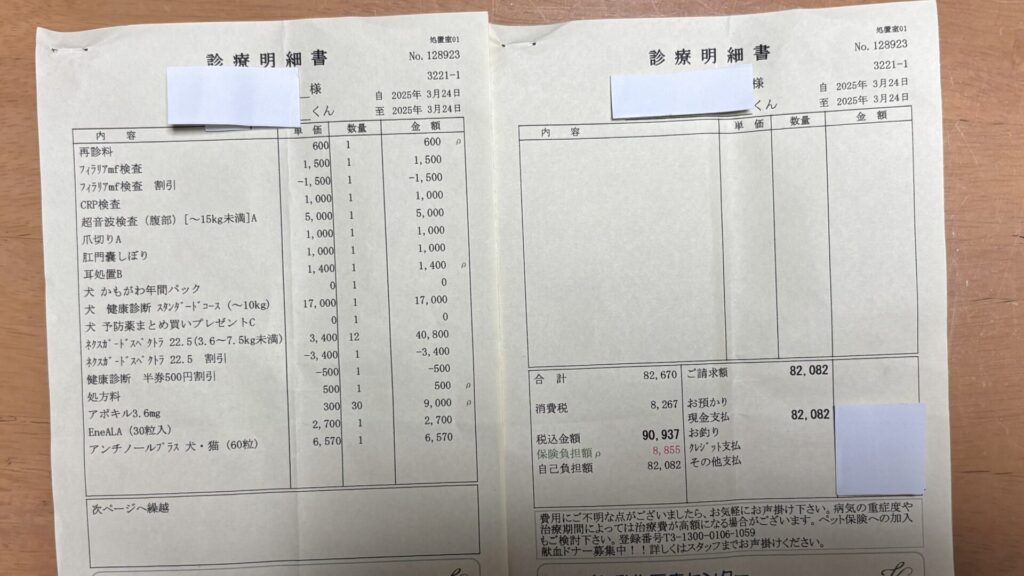 犬の健康診断結果2